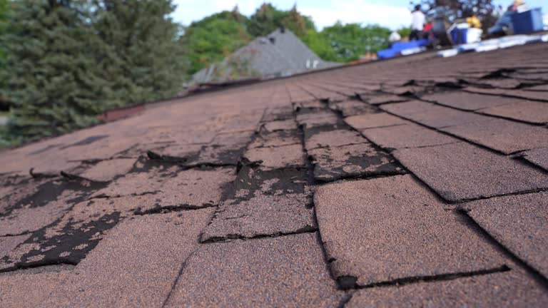 Asphalt Shingles Roofing in Liberty Lake, WA